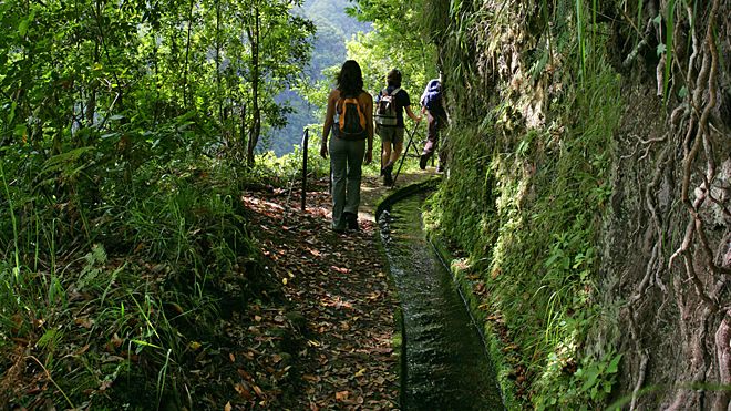 madeira-island-levadas-Portugal