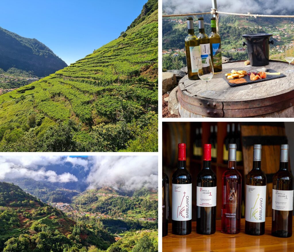 Quinta do Barbusano, Sao Vicente on Madeira Island - Wine tasting