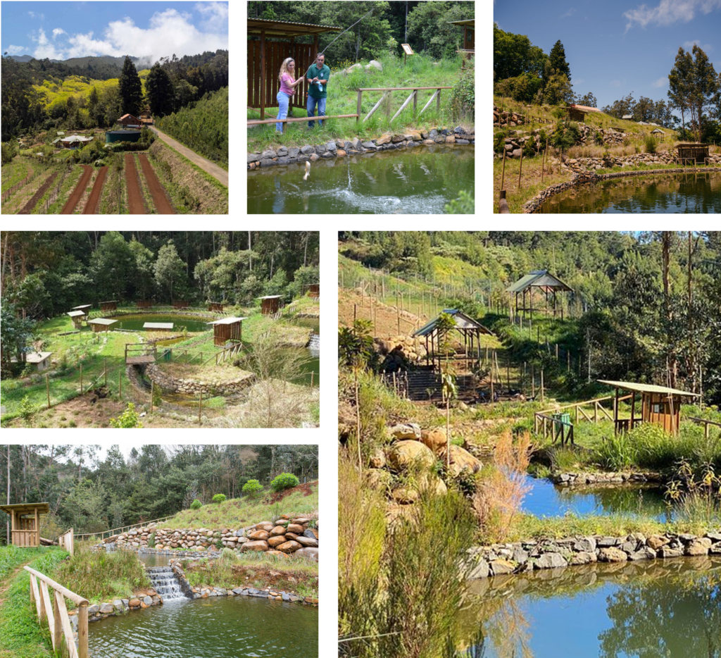 Parque Ribeira Primeira Madeira
